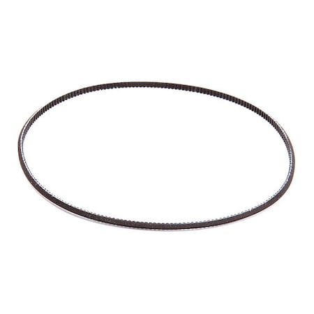 Berkel Belt 5m 01-402375-00015