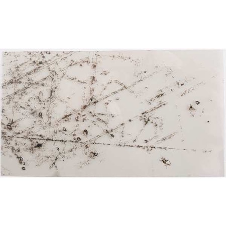 Master Appliance Mica 51376