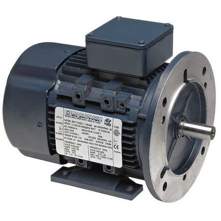Marathon Motors 3/4 HP Metric Motor,3-Phase,3400 Nameplate RPM,230/460 Voltage,Frame 71