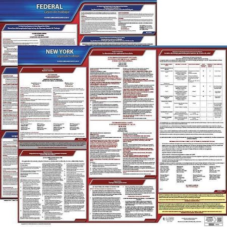 Jj Keller Labor Law Poster, Fed/STA, NY, SP, 20inH, 3yr 200-NY-3