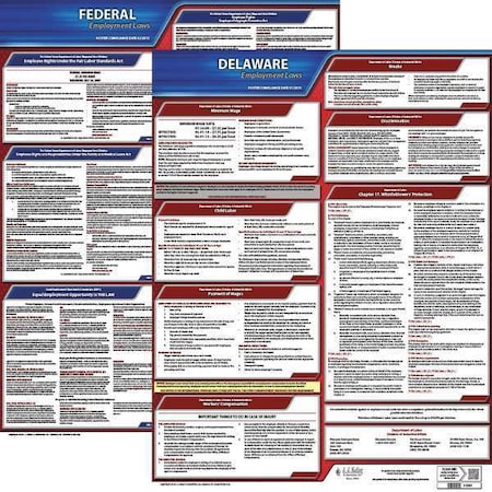 Jj Keller LaborLaw Poster, Fed/STA, DE, ENG, 20inH, 1yr 100-DE-1