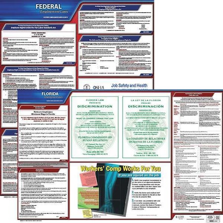 Jj Keller LaborLaw Poster, Fed/STA, FL, ENG, 20inH, 1yr 100-FL-1