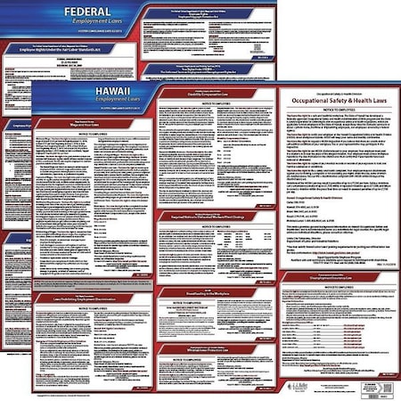 Jj Keller LaborLaw Poster, Fed/STA, HI, ENG, 20inH, 1yr 100-HI-1
