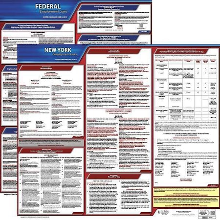 Jj Keller LaborLaw Poster, Fed/STA, NY, ENG, 20inH, 1yr 100-NY-1