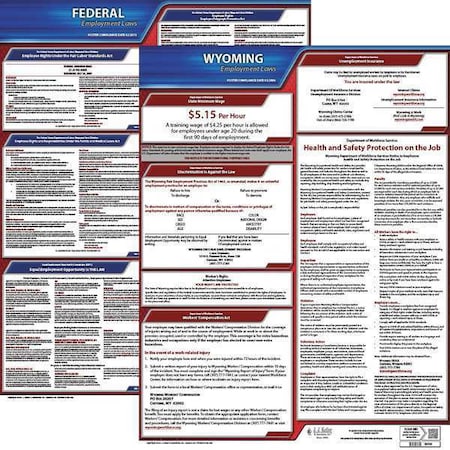 Jj Keller LaborLaw Poster, Fed/STA, WY, ENG, 20inH, 3yr 100-WY-3