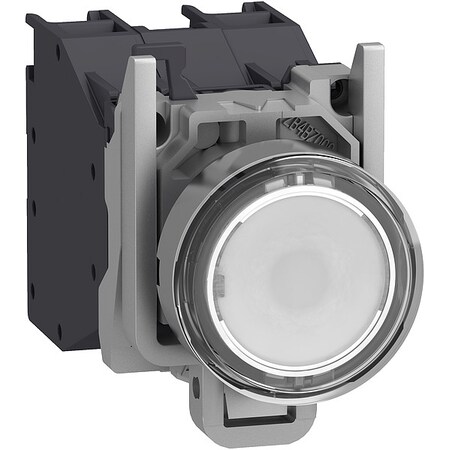 Schneider Electric Illuminated Push Button, Flush, Momentary Action, Not Applicable Release, Illuminated, White XB4BP183BM5GEX