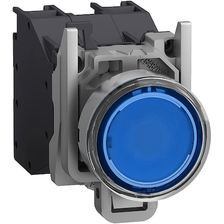 Schneider Electric Illuminated Push Button, Flush, Momentary Action, Not Applicable Release, Illuminated, Blue XB4BP683BM5GEX