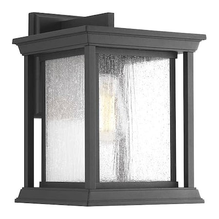 Progress Lighting Endicott One-Light Large Wall Lantern P5611-31