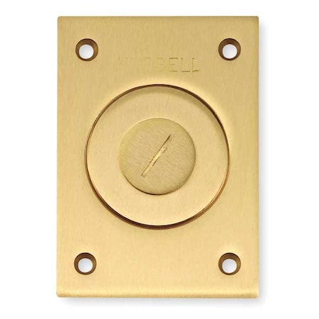 Hubbell Wiring Device-Kellems Box Cover, Floor Box Type, 1 Gang, Brass S2425