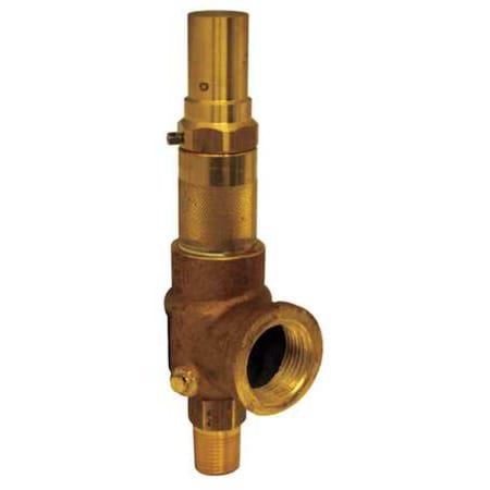 Apollo Valves Adjustable Relief Valve, 1/2 In, 250 psi 1650160