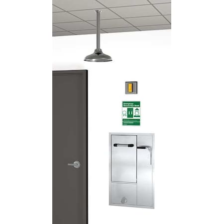 Guardian Equipment Drench Shower With Face/Eyewash, Silver GBF2152