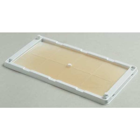 Catchmaster Glue Trap, Cold Temperature, PK2 48WRG
