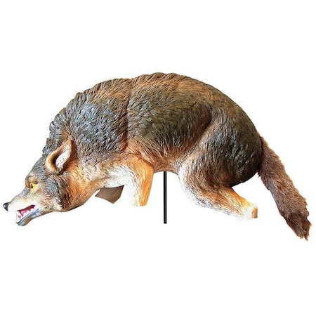 Bird-X Coyote Bird Repeller, 3D COYOTE 3-D