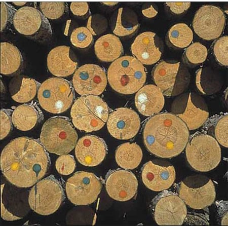 Nelson Paint Applicator, Felt FAC