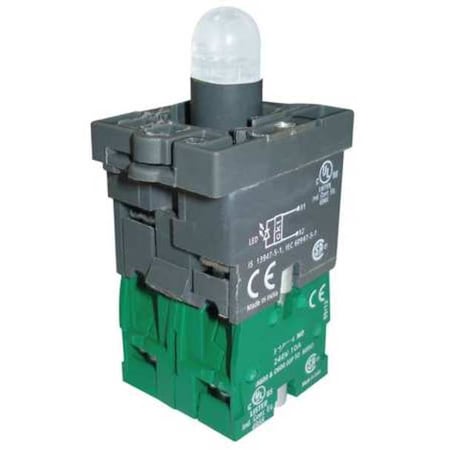 Dayton Lamp Module and Contact Block, 22mm, 2NO 30G194