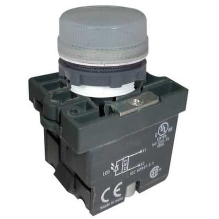 Dayton Pilot Light, LED, 22mm, 24VAC/DC, WH, Plastic 30G208