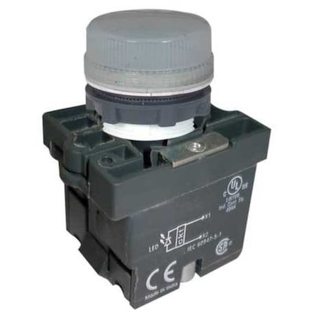 Dayton Pilot Light, 22mm, LED, White 30G216