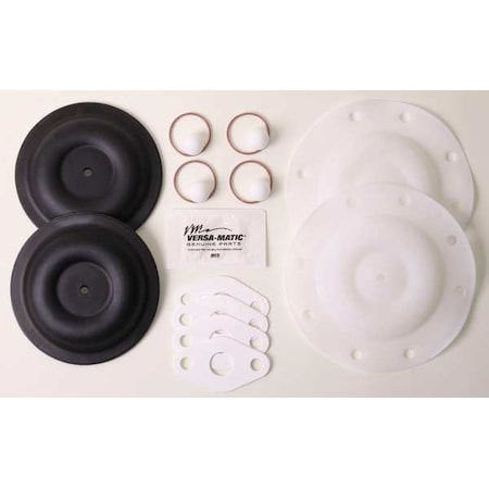 Versamatic Elastomer Kit, PTFE, For 20LR18 E5 TF KIT