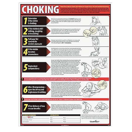 Complyright Poster, Choking, 18 in H x, 24 in W, Laminated Paper WR0236