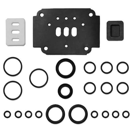 Standard Pump Air Valve Kit, Rebuild, 1in. 200-002