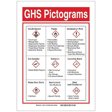 Brady GHS Sign, GHS Picto, 10 in W, 14 in H 133167