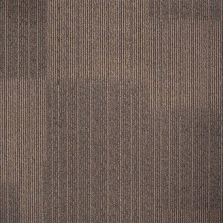 Zoro Select Carpet Tile, 19-11/16in. L, Brown, PK20 31HL75