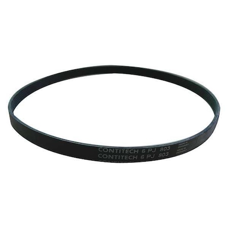 Solo Belt, 10 in. L 0057114