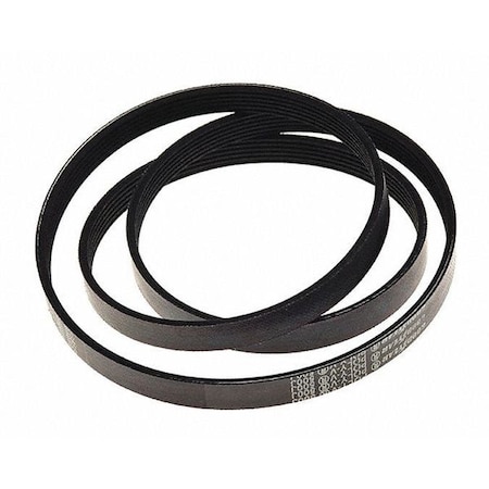 Campbell Hausfeld Poly V Belt 50 In. BT004800AV