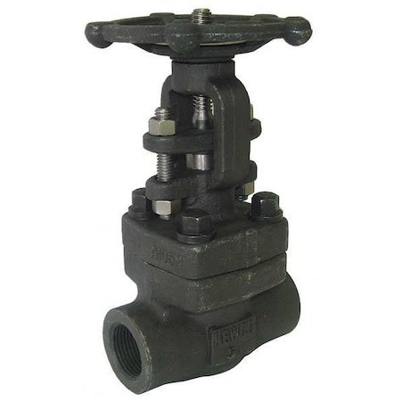 Newco Gate Valve, 2 In., Carbon Steel 02-18T-FS2-BB-RP-NC