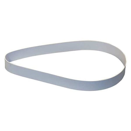 Zebra Skimmers Replacement Belt, Poly, 8 in. BP-08