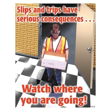 Safetyposter.Com Safety Poster, Slips and Trips Have Serious Consequences. Watch Where You are Going, 22 in H SW0092