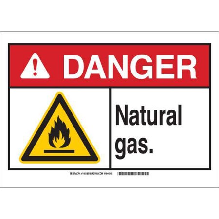 Brady Danger Sign, 7 in H, 10 in W, Rectangle, English, 145181 145181