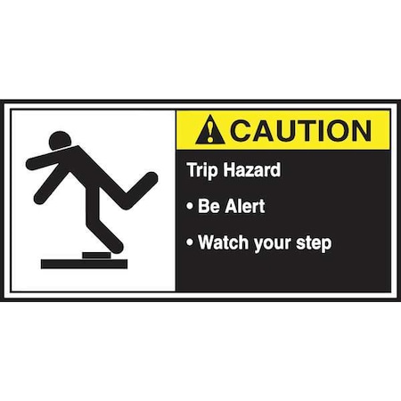 Accuform CEMA Label, 2 1/2 in Height, 5 in Width, Vinyl, Horizontal Rectangle, English LECN682