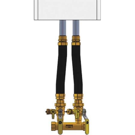 Webstone Boiler Inst Kit, 1in, 1inFIP, Dbl Ball Drin 4FK4-WIF