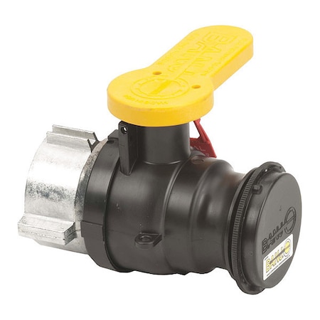 Banjo Poly Valve, Cap Foil, FKM, 2" W230238