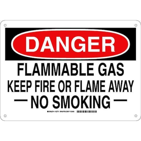Brady Danger No Smoking Sign, 10" H, 14 in W, Plastic, Rectangle, English, 123711 123711