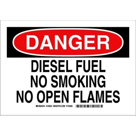 Brady Danger No Smoking Sign, 7" H, 10" W, Polyester, Rectangle, English, 123631 123631
