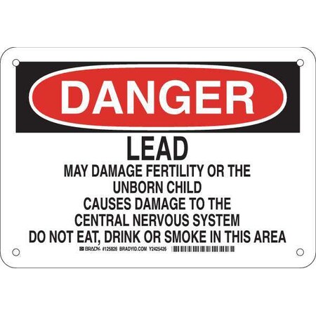 Brady Danger Sign, 7 in H, 10 in W, Rectangle, English, 125826 125826