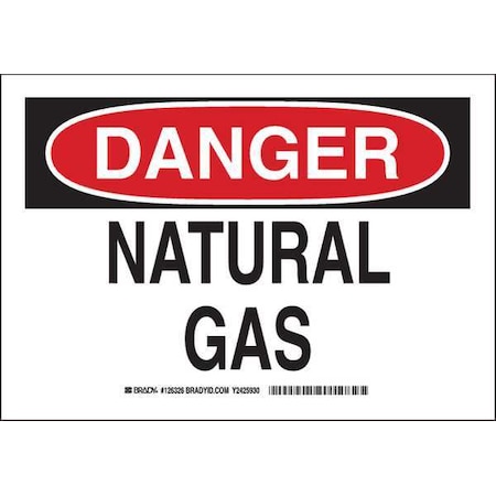 Brady Danger Sign, 10 in H, 14 in W, Plastic, Rectangle, English, 126328 126328