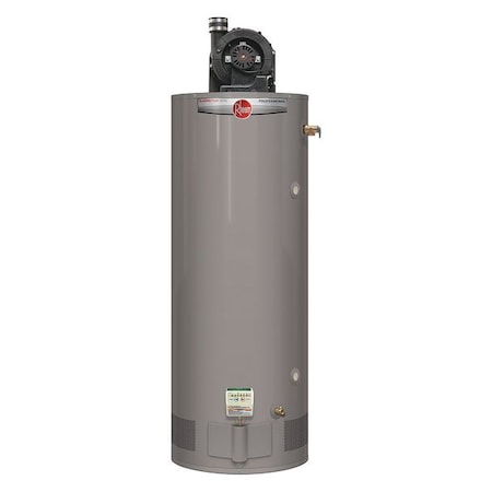 Rheem Natural Gas Residential Gas Water Heater, 75 gal, 110vac, 75,100 BtuH PRO+G75-76N RH PV