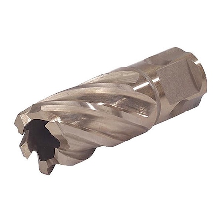 Walter Surface Technologies Core Cutter Universal Shank, 13/16"x2" 05E313