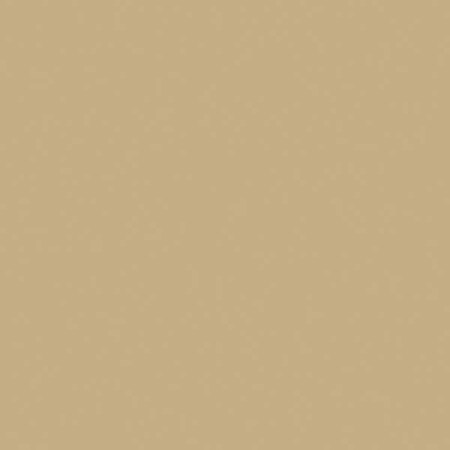 Pratt & Lambert Interior Paint, Eggshell, Latex Base, Light Stone, 5 gal. 0000Z2791-20