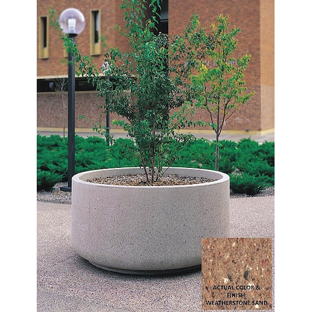 420.英仙造 染付段足長方 盆栽鉢 6.6*5.3*3cm Chinese Elm – Straight Trunk – Shohin – 6″ to 8″ Pots
