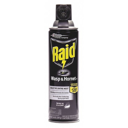 Raid Wasp Hornet Killer, 14 oz. Aerosol, PK12 668006