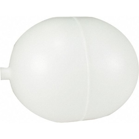 oblong exercise ball