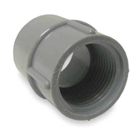 Cantex Conduit Fitting Adapter, 1-1/2 in, Threaded, PVC, Polished 5140047