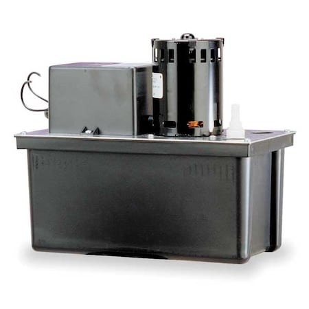 Little Giant Pump Pump, Condensate, 230 V 553211