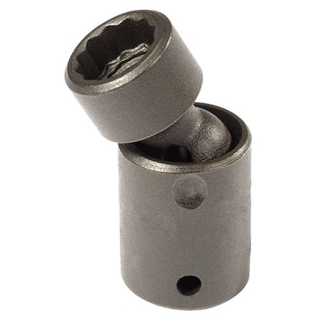 PROTO - J66555MP