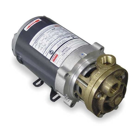 Dayton Pump, Turbine, 1/3 HP 4UP50