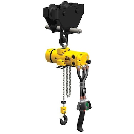 Ingersoll-Rand Air Chain Hoist, 275 lb. Cap., 10 ft. Lift CL125K-2DA10-C6U
